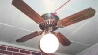 random ceiling fans