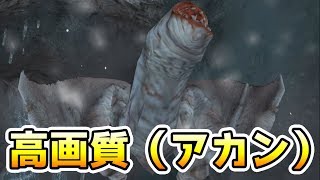 【MHP2G/HD】緊急クエスト！フルフルを高画質にしたら（アカン） part9【iPhone版モンハン】