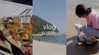 vlog • 강아지랑 같이 여수가요🐶💖 여수 애견동반 식당\u0026카페 소개!(feat.한꾼에88,향일암,무슬포해수욕장)