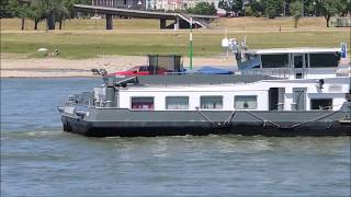 Binnenschiff Elmare auf dem Rhein bei Düsseldorf