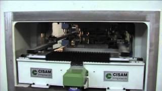 CISAM IMPIANTI - 2 axis servo-transfer with feeder