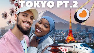 VLOG JAPAN #5: BACK IN TOKYO! | Harry Potter park, Mont-Fuji, Teamlab borderless, Vintage shop