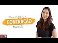 Músculo Esquelético 4/6: Fisiologia da Contração Muscular | Anatomia e etc.