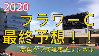 【最終予想】2020フラワーカップ！適性・そして素質の高そうな馬を本命に！良血馬が多いレースだからこそ今買いたい！