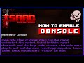 How to Enable Debug Console - The Binding of Isaac Repentance