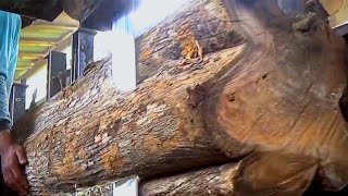 how do we Cut big wood using the best sawing machine in the sawmill