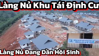 Tin Mới Nhất Làng Nủ Khu Tái Định Cư Những Ngày Thời Tiết Chuyển Đông Bà Con Tích Cực Trồng Hoa