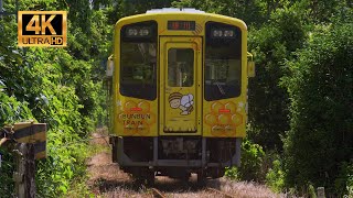 【4K】癒しの旅へ！4K映像で描かれる田舎風景とローカル鉄道の風景