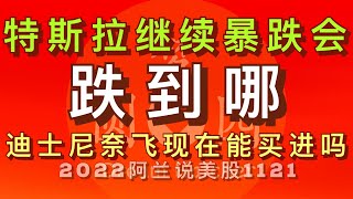 [阿兰说美股] 特斯拉连跌后，今天又暴跌，现在能抄底吗？它会跌到哪？迪士尼奈飞现在能买吗？#dis #nflx #lmt  #tsla *点击下方[说明]栏内的链接成为会员，修美股功夫做美股狙击手！