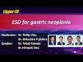 ESD for gastric neoplasia