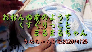 おねんね前のようすくすぐりっことまるまるちゃんうたちゃん日記20200425S2