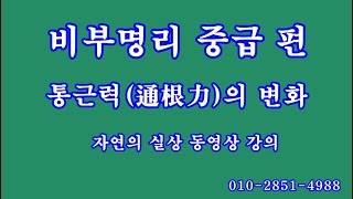 038 비부명리 초급편, 통근력通根力의 변화 1부