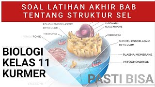 Sel Biologi Kelas 11 Latihan Soal Akhir Bab | Doovi