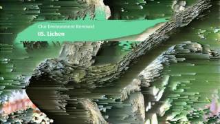 Iszlai - 05 - Lichen