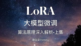 LoRA 01 算法原理深入解析 上集