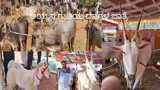 ಇತಿಹಾಸ ಇರುವ ಕೆಂಗಲ್ ಅಯ್ಯನ ಗುಡಿಯ ಬಾರಿ ದನಗಳ ಜಾತ್ರೆ - 2025 #hallikar #hallikar cows