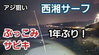 【西湘サーフ】ぶっこみサビキ 大アジ狙い2024年