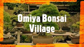 Omiya Bonsai Village - Artistic \u0026 Beautiful !!