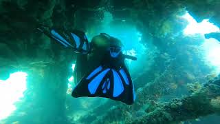 North mole Fremantle wreck dive (doesn’t disappoint)