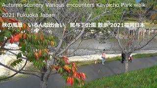 秋の風景　いろんな出会い　駕与丁公園散歩2021福岡日本Autumn scenery Various encounters Kayoicho Park walk 2021 Fukuoka Japan