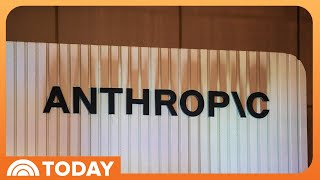 Anthropic Issues Urgent Warning for Slowdown of AI Development