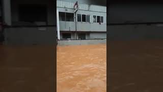 Heavy Rain Road Flooding In Pulikkal/Malappuram