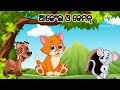 cartoon moral story odiya story tale