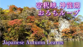 Splendid Autumn Taishaku Gorge Shinryu Lake & Orochi Loop, Hiroshima & Shimane Trip #1, Japan