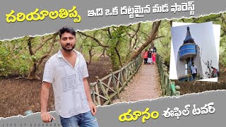 Yanam Eiffel tower 🗼Dariyaala thippa mada forest 🌳Yanam near to places #yanam #trending#viral#video