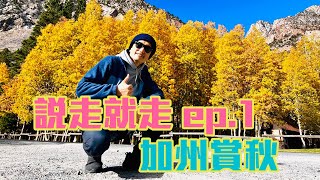 灣區出發 說走就走ep.1〡加州賞秋之旅