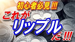 【仮想通貨】今さらですが…リップルの魅力を余すことなくお伝えします!!! 《初心者必見！・XRP未保有必見！》