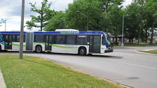 Niagara Falls Transit: 2018 NovaBus LFS-A 1810