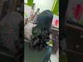 advance step haircut by Sakshi Saini