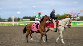 Gulfstream Park Replay Show | December 6, 2024