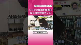 ジメジメの季節到来　梅雨時期を快適に過ごしたい！傘＆湿気対策最新グッズ紹介