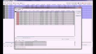 BSI DEMO