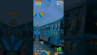 එයාලා ගලවලා බන් #දුකයි!#new bus short