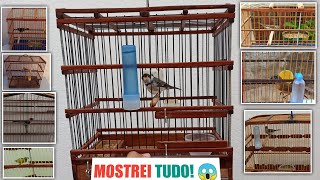 Mostrando todos os meus | PÁSSAROS vídeo ATUALIZADO!