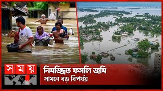 কাউনিয়া পয়েন্টে বিপৎসীমার ২৯ সে.মি. উপরে বইছে তিস্তা | Teesta River | Rangpur | FLood | Somoy TV