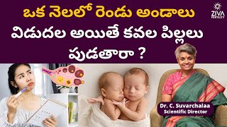 ఒక నెలలో రెండు అండాలు విడుదల| Ovulation Happen Twice In One Cycle | Dr C Suvarchala | Ziva Fertility