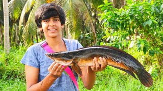 എനിക്കും കിട്ടി ഒരു വമ്പൻ ചേറുമീൻ 2.8kg🔥/snakehead fishing in Kerala