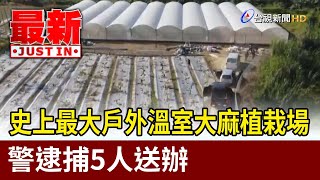 史上最大戶外溫室大麻植栽場 警逮捕5人送辦【最新快訊】