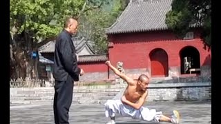 Shaolin: Ditang Meihua Quan