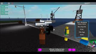 Roblox using backdoor with executor