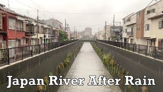 Japan River After Downpour Rain 2021.08.15 ASMR Ambient Sound Sleep Meditate Relax Tokyo Suburb