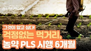 그것이 알고 싶다! 걱정없는 먹거리, 농약 PLS 시행 6개월