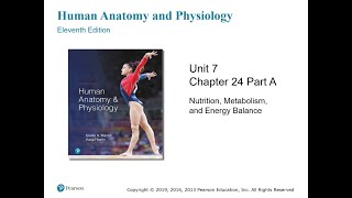 Anatomy and Physiology Chapter 24 Part A