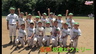 【少年野球】20170617ジュニア大会決勝佐倉ビクトリーVS間野台ジャイアンツ