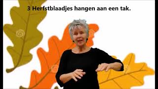 5 herfstblaadjes - Zingen met gebaren (Hans van Eerden)