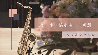 オーボエ協奏曲ニ短調/A.マルチェッロ  ソプラノサクソフォン版　Oboe Concerto d minor/Alessandro Marcello